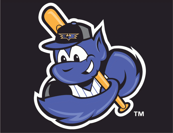 Louisville Bats 2002-2015 Cap Logo v3 iron on heat transfer